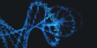 Single Molecule microRNA Technology Proves Useful for Liver Toxicity Detection