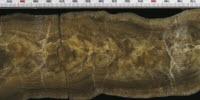 Stalagmites from Iranian Cave Foretell Grim Future for Middle East Climate