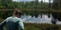 Amid Environmental Change, Lakes Surprisingly Static
