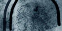 Automated Fingerprint Analysis Is One Step Closer to Reality