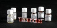 Binding Site Expands Monoclonal Antibody Product Offerings
