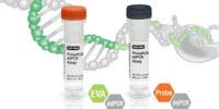 Bio-Rad Introduces First Droplet Digital™ PCR–Based Assays to Quickly Quantify CRISPR Efficiency