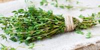 Compounds in Thyme and Oregano May Provide a New Treatment Option for Wasting Disease