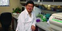 Drug Short-Circuits Cancer Signaling