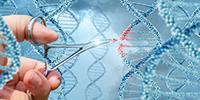 Eradicating Exotic Pests with 'Infertility Genes' May Be Possible