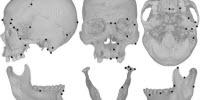 Farming, Cheese, Chewing Changed Human Skull Shape