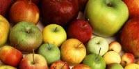 New Genomic Insights Reveal How the Modern Apple Came to Be
