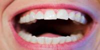 Oral Bacteria May Help Forensic Scientists Estimate Time since Death