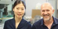 Placenta-on-a-Chip: Microsensor Mimics Malaria in the Womb