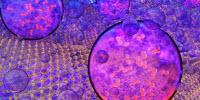 Scientists Extract Hydrogen as Potential Fuel Source
