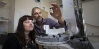 Study Solves Mystery of How First Animals Appeared on Earth