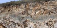 Techniques Used in Forensic Science Help Discover New Molecular Fossils