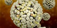 Two Innovative Methods Could Help to Predict Flu Outbreaks and Prevent the Spread of Antibiotic Resistance
