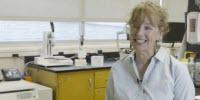 Automating Early Stage Cell Based Assay Development