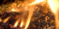 Biomass-Produced Electricity in the US Possible, but It'll Cost You