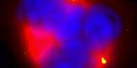 Cancer Drug Stimulates Tripolar Mode of Mitosis