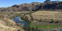 Climate Change Challenges the Survival of Fish across the World