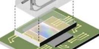 Fluorescence Microscopy on a Chip—No Lenses Required