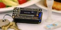 Keychain Detector Could Catch Food Allergens before It's Too Late