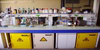 Laboratory Safety Quiz