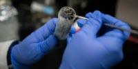 Microbial Census in Very Deep Water