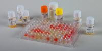New HIV P24 Monoclonal Antibodies Now Available from Binding Site