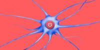New Proton 'Starter' for Optogenetics
