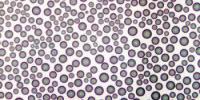 Printed Meds Could Reinvent Pharmacies, Drug Research