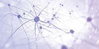 Probing Neurological Diseases with Stem Cells