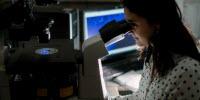 Researchers Control Hunger Hormone, Stopping Obesity in Mice