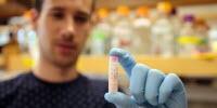 Scientists Create Alternate Evolutionary Histories in Test Tube