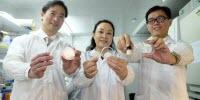 Scientists Develop Patch Which Could Improve Healing and Reduce Scarring