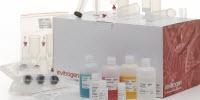 Thermo Fisher Scientific Continues to Expand Plasmid DNA Purification Portfolio of Low-Endotoxin Plasmid DNA Isolation Kits
