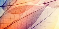 5 Awesome Fall Science Experiments