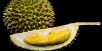 Cancer Scientists Crack the Durian Genome