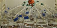 Cocktail Tests on Toxic Waste Called For