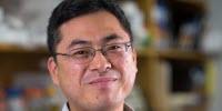 Genome Architecture Caught in Motion