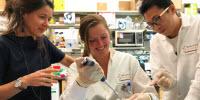 New Research Opens the Door to ‘Functional Cure’ for HIV