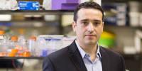 Novel Treatment Causes Cancer to Self-Destruct Without Affecting Healthy Cells