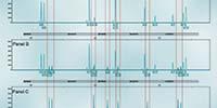 PCR: The Cell Line Identity Crisis