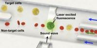 Researchers Develop Single Cell Level Sorting Technology Using Sound Waves