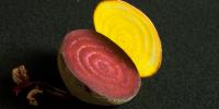 Researchers Discover an Evolutionary Stepping Stone to Beet-Red Beets