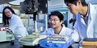 Researchers Work to Mitigate Water Scarcity Crisis with Solar-Powered Devices Made of Wood