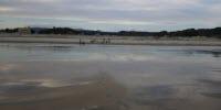 Scientists Find New Source of Radioactivity from Fukushima Disaster