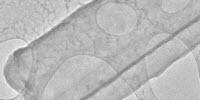 Scientists Get First Close-ups of Finger-Like Growths that Trigger Battery Fires