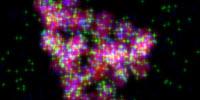 Surrounded by Potential: New Science in Converting Biomass