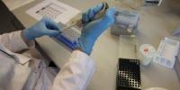 Annual Influenza Vaccination Does Not Prevent Natural Immunity