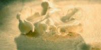 Biology and Chemistry Combine to Generate New Antibiotics