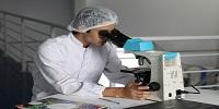 Cells Bulge to Squeeze Through Barriers