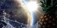 Circadian Clock Discovery Could Help Boost Water Efficiency in Food Plants
